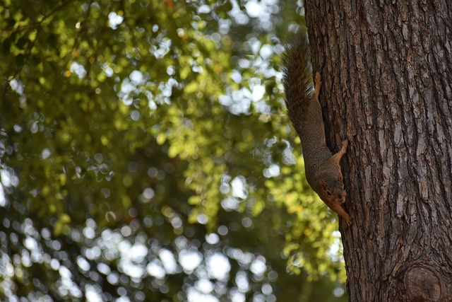 kaiyun：给文总点一根文森特攻守兼备飚中6记三分 砍20分并列全场最高.